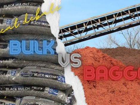 Great-debate-blog-cover-1