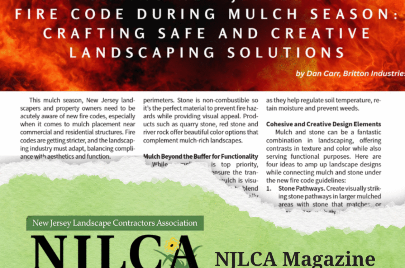 NJLCA Article (1)