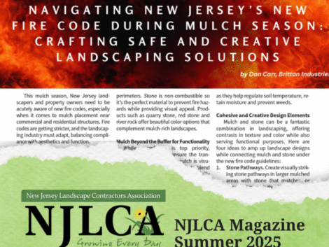 NJLCA Article (1)